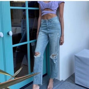 BDG Urban Outfitters Slim Straight Classic Distressed Hidden Button Fly Jeans